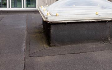 disadvantages of Dunvant flat roofs